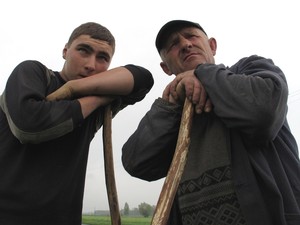 12:54 Rodzina Żaków na polu w Wyskoci zbiera żyto na kiszonkę. Po dwóch miesiącach leżakowania rolnicy wykorzystają ją jako pożywienie dla bydła.