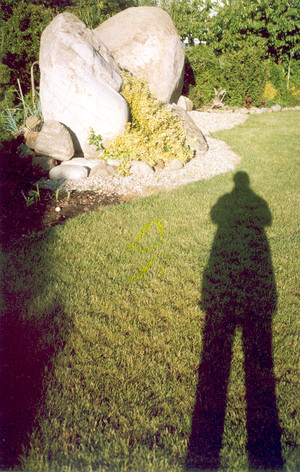 Fot. Aleksandra Kasprzak z Jerki. Ulubione miejsce w przydomowym ogrodzie, gdzie udało mi się sfotografować mój cień.