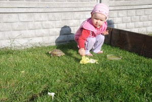 Zdjęcie przedstawia moją 2-letnią córkę Natalię w ogródku u 