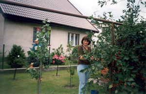 Autor Ewa Świderska. Sąsiadka Janka Pewińska zrywa wiśnie w moim przydomowym ogródku o godzinie 17.07.