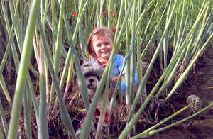 Autor - Bartosz Świątkowski. 3-letnia Ania ze swoją przyjaciółką czteronożną Tosią w gąszczu cebulowych bąków. Zdjęcie wykonałem na polu w Kiełczewie.