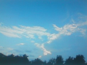Marcin (27 lat) zdjęcie przedstawia zwyczajną chmurę cummullus a jednak jakby niezwykłą: jak się ktoś dopatrzy - ujrzy w niej postać konia. Zdjęcia zrobione w Kościanie - około godziny 13, telefonem.