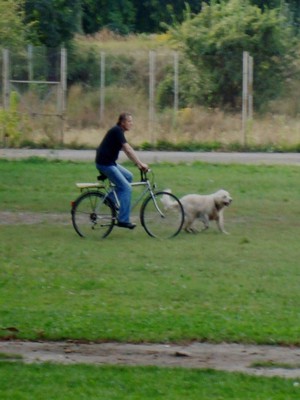 Autor - Anna Wieczorek. Zdjęcie przedstawia pana Artura, podczas spaceru z psem. Zdjęcie wykonałam przy kościańskiej Ferfecie.