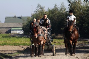 Na polnej drodze w Nowej Wsi spotkaliśmy Wojciecha Pelca, właściciela Rancza w Dolinie, który powoził wozem z amatorami konnej przejażdżki po okolicy.