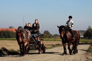 Na polnej drodze w Nowej Wsi spotkaliśmy Wojciecha Pelca, właściciela Rancza w Dolinie, który powoził wozem z amatorami konnej przejażdżki po okolicy.